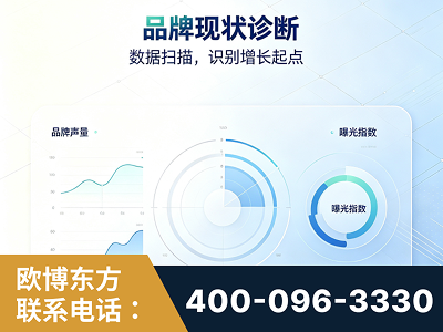 武夷山-品牌现状诊断